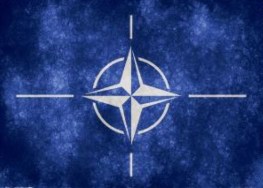 nato-grunge-flag_19-134750